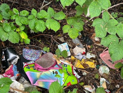 Wilder Müll im Gebüsch