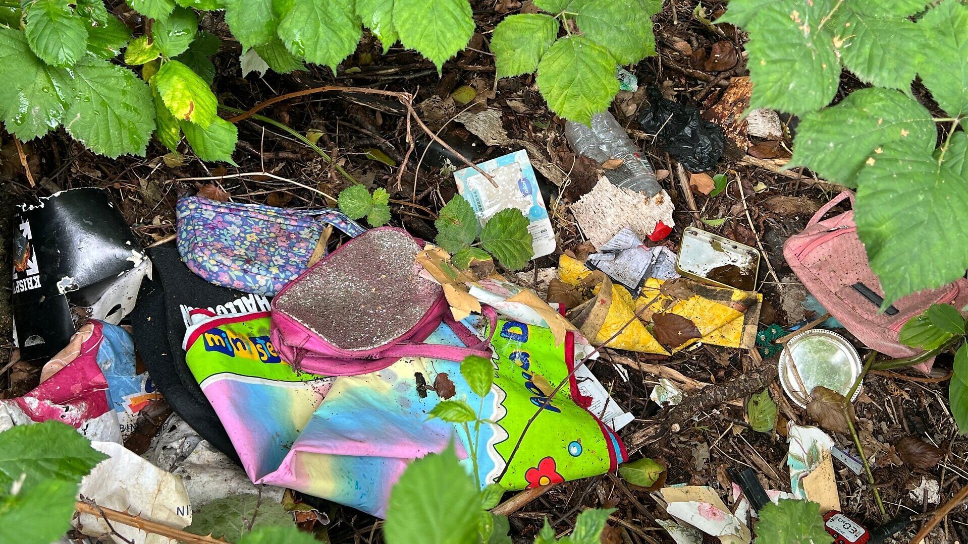 Sauber machen im Frühjahr 2026